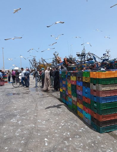 ESSAOUIRA-FOOD-TOUR-10