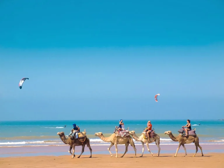Camels on the beach with riders enjoying a scenic view of the ocean and sandy shores under a clear blue sky trip in Morocco