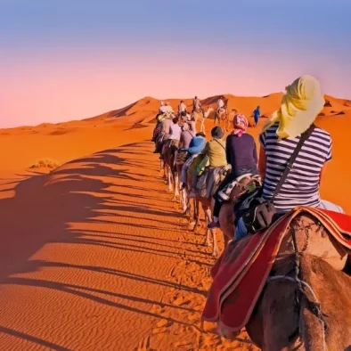 A group of people riding camels across a vast desert landscape during a vibrant sunset, casting long shadows on the sand Moroccon Travel agnecy