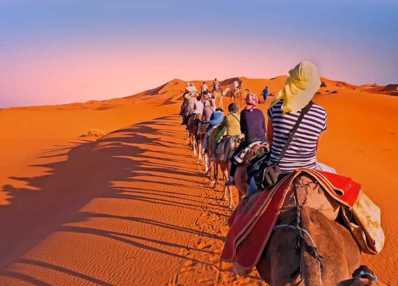A group of people riding camels across a vast desert landscape during a vibrant sunset, casting long shadows on the sand Moroccon Travel agnecy